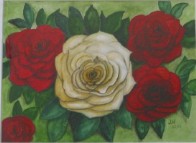 30 X 40 cm   Aquarell