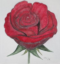 25 X 25 cm  Aquarell