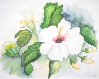 30 X 40  cm  Aquarell