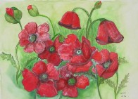 30 X 40  cm  Aquarell