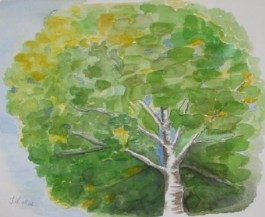 24 X 34 cm  Aquarell