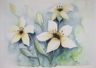 30 X 40  cm  Aquarell