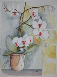 30 X 40 cm  Aquarell